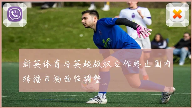 新英体育与英超版权合作终止国内转播市场面临调整