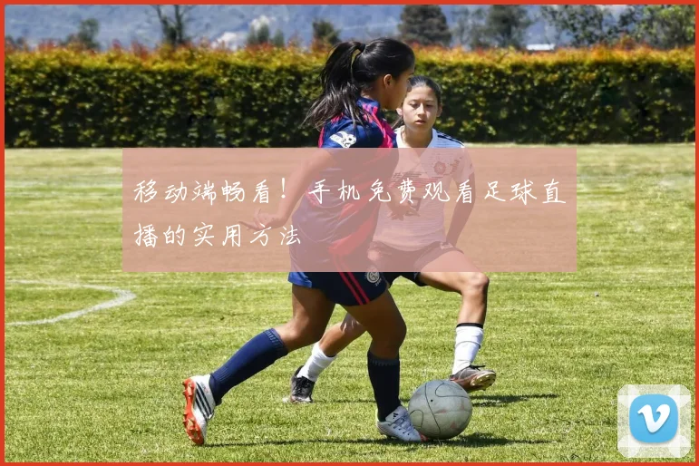 移动端畅看！手机免费观看足球直播的实用方法